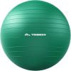 Exercise Ball for Physical Therapy & Workout - Swiss Ball for Core Strength & Balance