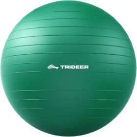 Exercise Ball for Physical Therapy & Workout - Swiss Ball for Core Strength & Balance