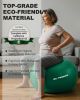Exercise Ball for Physical Therapy & Workout - Swiss Ball for Core Strength & Balance