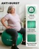Exercise Ball for Physical Therapy & Workout - Swiss Ball for Core Strength & Balance