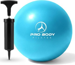 Pilates Small Exercise Ball with Pump - 9 Inch Workout Ball for Stability, Barre, Yoga, Core & Physical Therapy (Color: Purple)